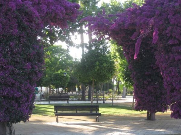 la-rinconada-1-1 (1)