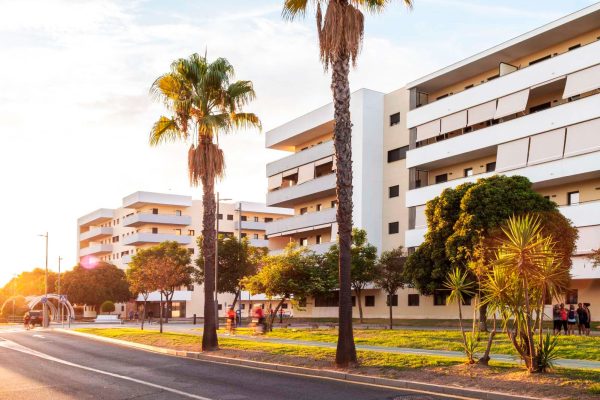 bnn_bulevar-centro_san-jose_4